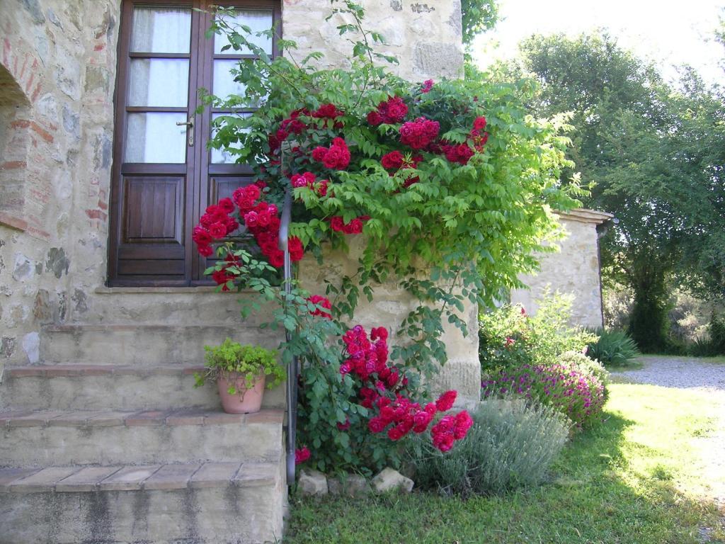 Bellavista Villa Seggiano Exterior photo