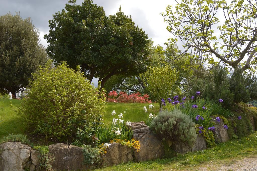 Bellavista Villa Seggiano Exterior photo